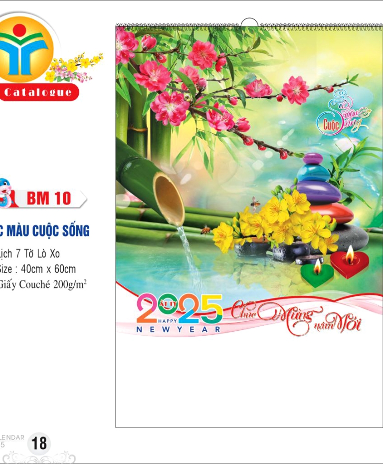SẮC MÀU CUỘC SỐNG 7T