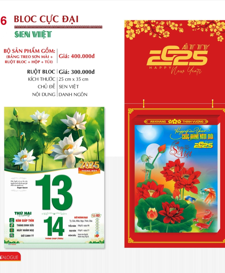 SEN VIỆT TD16